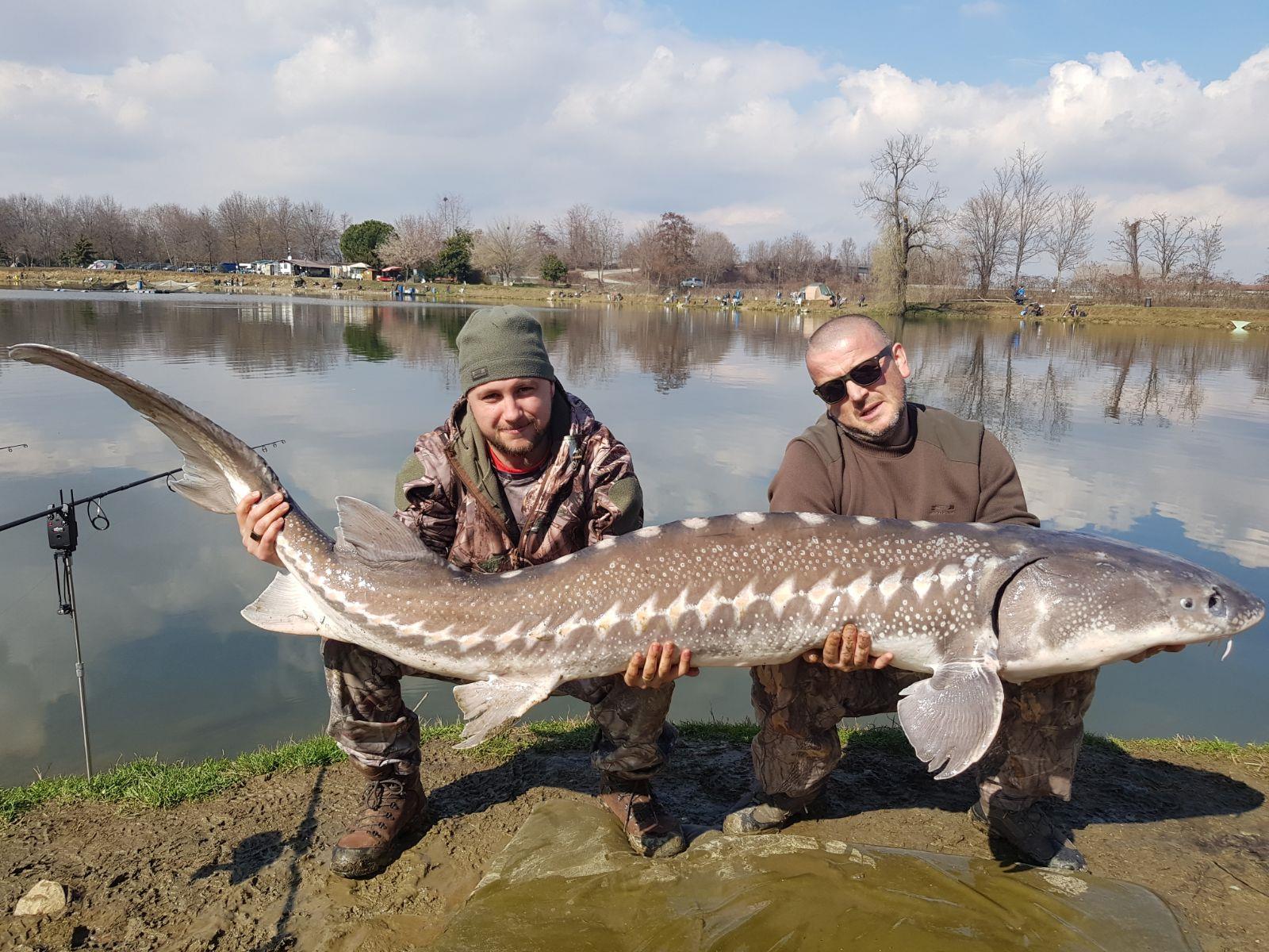 Gioia Lake - img-20180312-wa0022.jpg